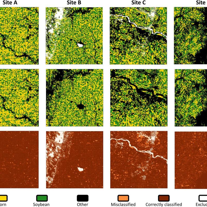 Generalization of image classification models using fair